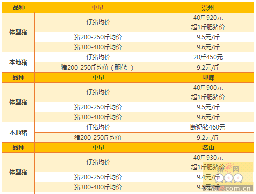 成都今日豬價最新消息