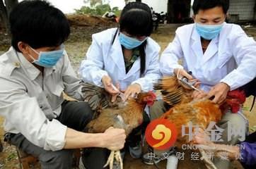 h7n9禽流感最新疫情