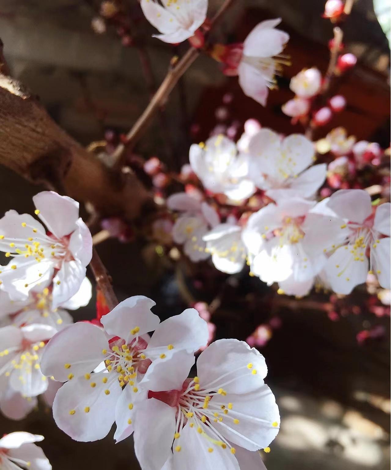 大同最新地圖，古都新貌揭秘