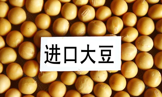 進(jìn)口大豆價(jià)格最新行情