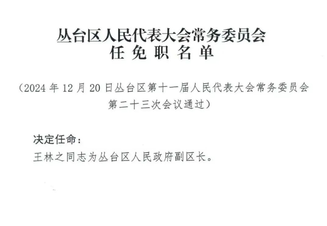 企業(yè)高管層最新任免動(dòng)態(tài)，調(diào)整與展望