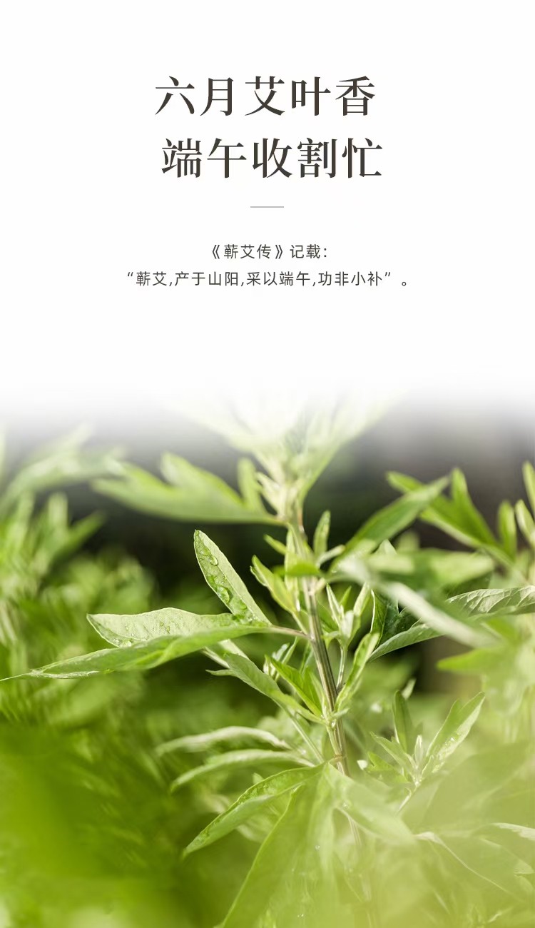 艾的最新探索與應(yīng)用前沿揭秘