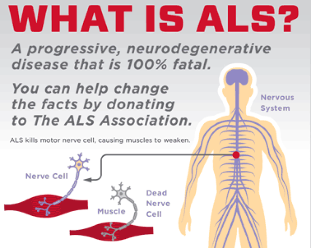 ALS最新研究，突破與挑戰(zhàn)的交匯點探索