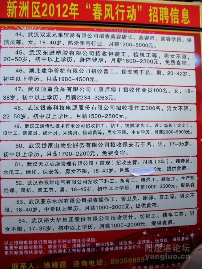 武漢新洲最新招聘